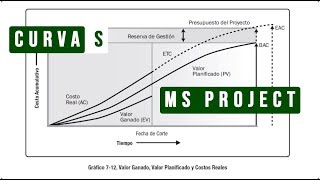 Generar curva S con MS Project