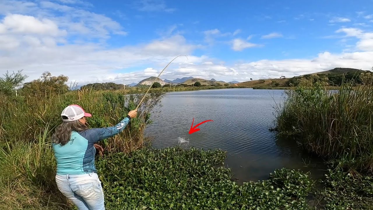 Pescaria de Oscar e tucunare com camarão vivo Pesca caipira Rio marinheiro