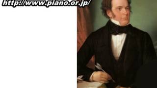 Schubert: Piano Trio No.2 Mov.2 "Andante con moto" D 929,Op.100