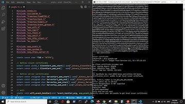 HTTPS parallel Server and Client implementation in ESP IDF for esp32