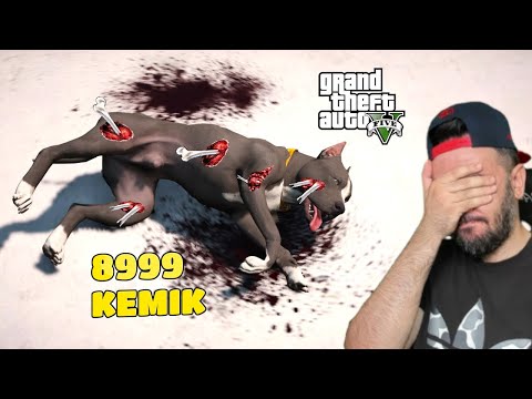 KASLI PITBULL KÖPEGIN TÜM KEMIKLERINI KIRDIM - GTA 5 MODS