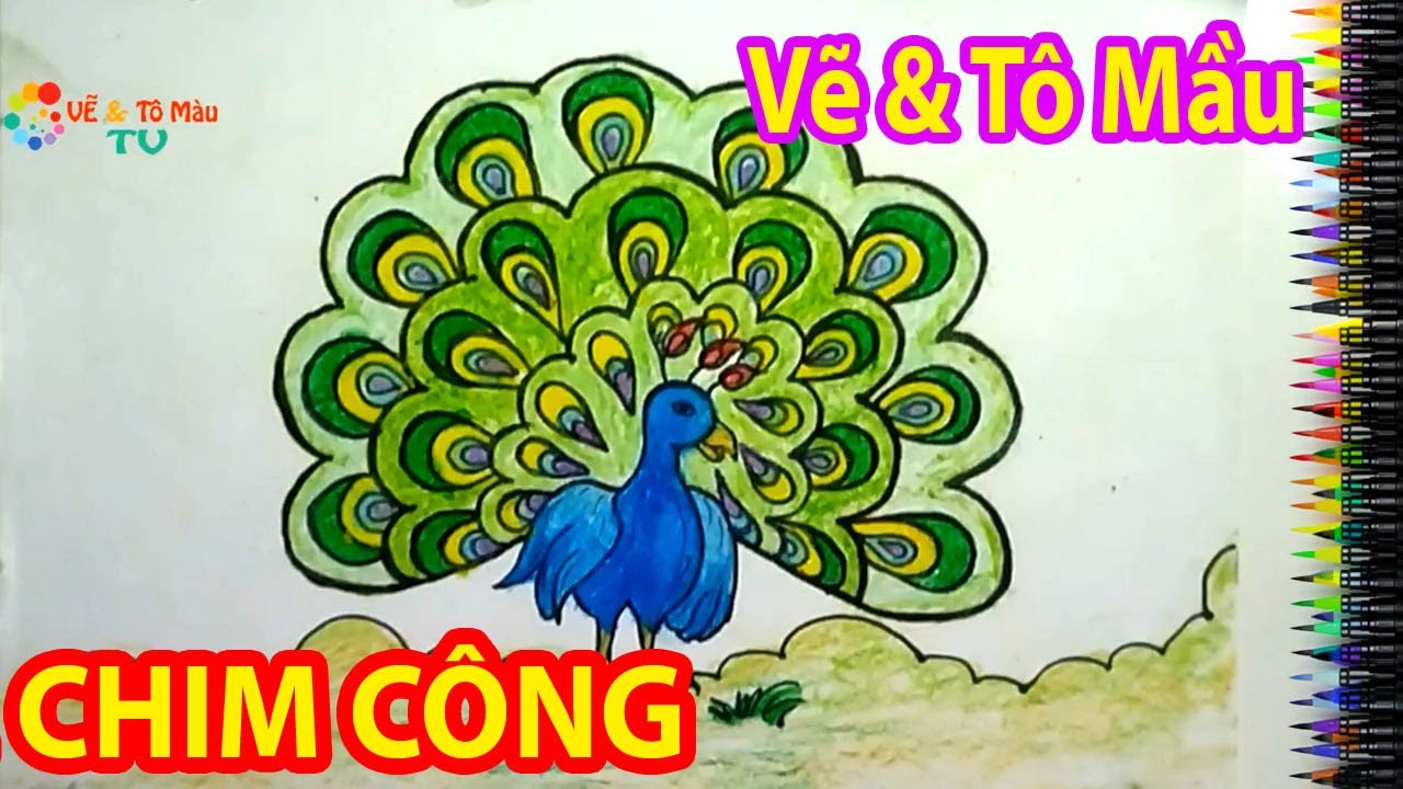 Tổng hợp với hơn 105 hình ảnh con công vẽ hay nhất - thtantai2.edu.vn