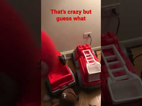 Send this to a friend that’s says something dumb