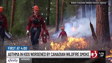 Canadian wildfire smoke worsened asthma in Vt., NY children, UVM study finds