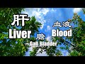 Liver (317.83Hz) Gallbladder (164.3Hz) Blood (321.9Hz) Tibetan Singing Bowl Healing Music