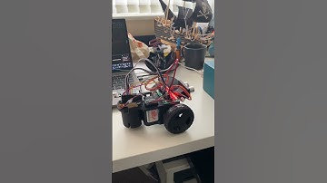 My ESP32 Robot project