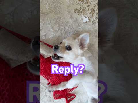 Why You Never Reply Sophie Needs Answers