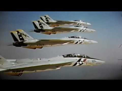 F14 Tomcat Edit