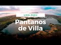 Los Pantanos de Villa 🐦refugio natural en medio de la ciudad de Lima