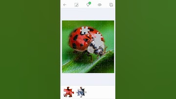 Ladybug 🐞 Jigsaw Puzzle 🧩 #puzzle #relaxing #mobilegame #gaming #ladybug #christmas #sprunki #fup