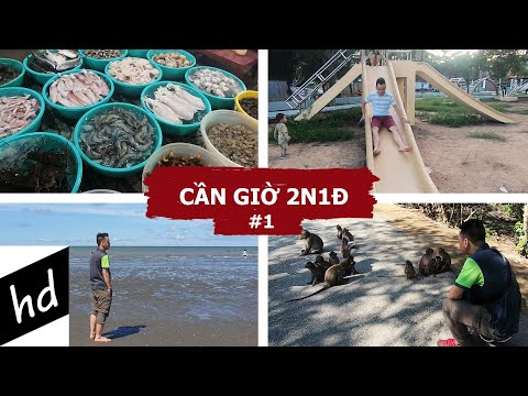 Cần Giờ 2N1Đ #1: Chuyến đi qua đêm hiếm hoi ở Cần Giờ - Cơ hội khám phá TT Cần Thạnh
