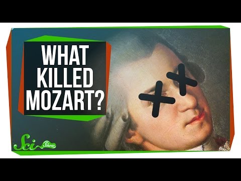Video: Mozart: Life And Death - Alternativ Visning