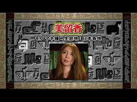 美留香