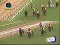 The Star Shine Plate Div-I Winner - STORM BREAKER