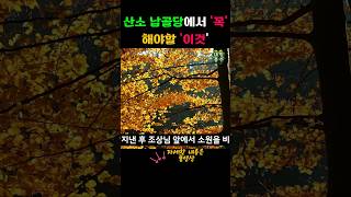 조상님께 복 받는 비결! 음택 풍수의 놀라운 지혜