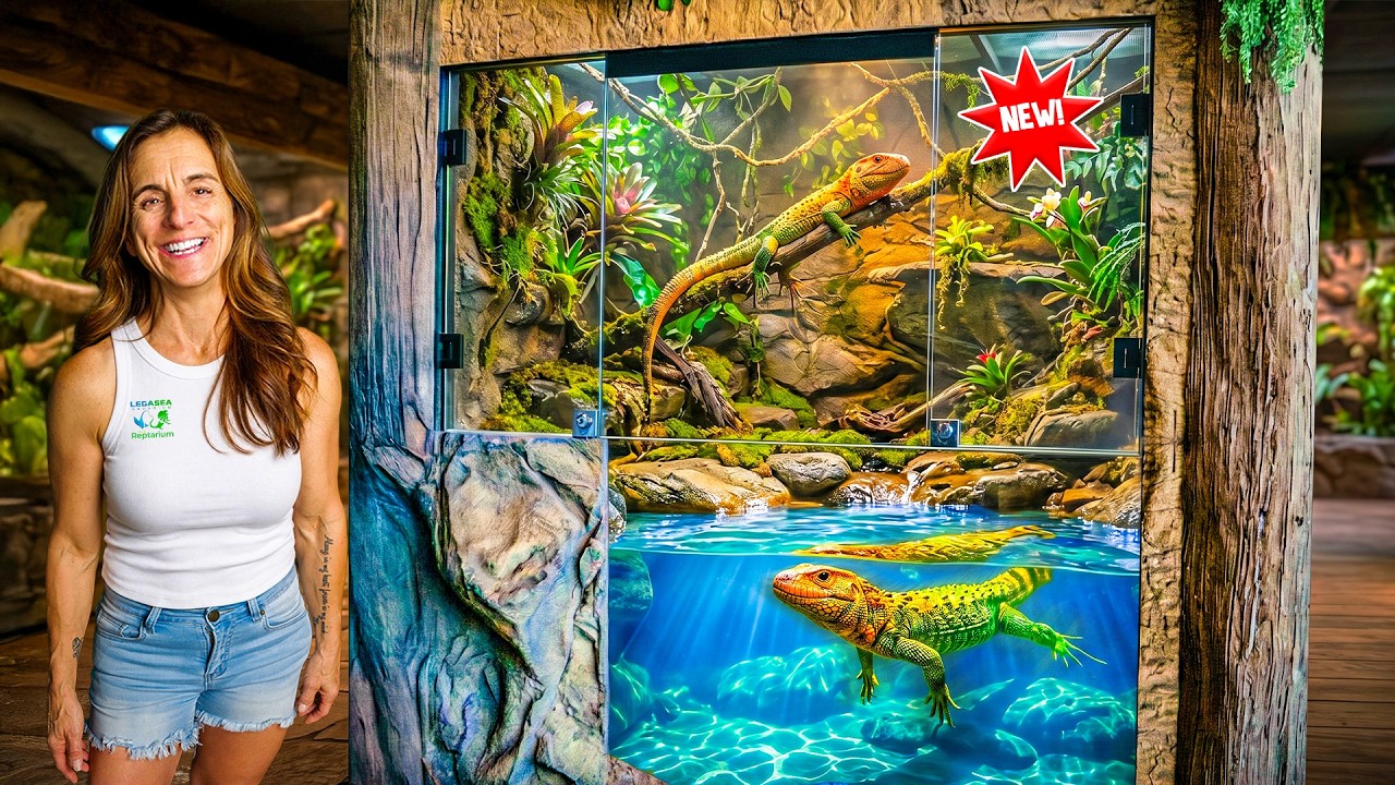 I Can’t Believe We Actually Got These Lizards…