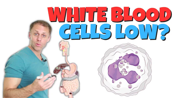 Why Are My White Blood Cells Low