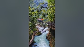 تلاوة مباركة من سورة الانبياء بصوت فضيلة الشيخ: عبدالولي الاركاني