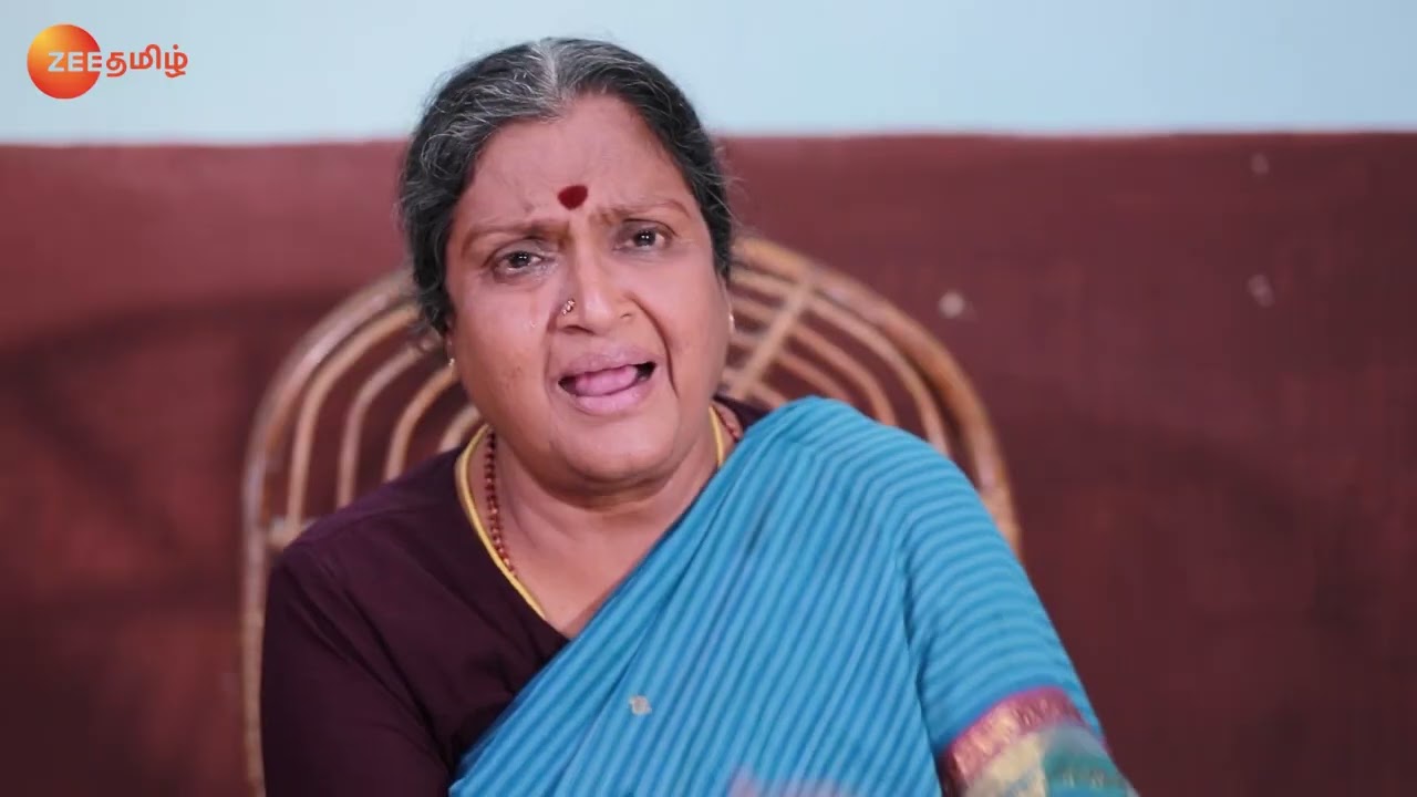 Sita Decides to Observe the Fast - Rettai Roja - Full Ep 667 - Zee Tamil