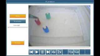 Single Incision Surgery Simulator - ProMIS by Haptica