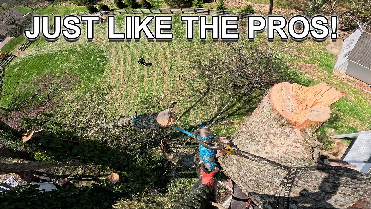 Big Rigging Like ZIG-ZAG MAN!