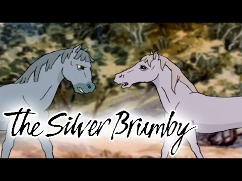 The Silver Brumby 109 - Golden in Trouble (HD - Full Episode)