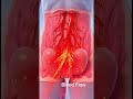 Female Anatomy & Sensitivity Explained #youtubeshorts #trending #viral #usa