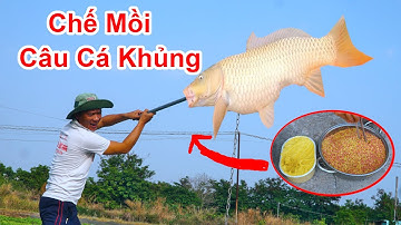 Tôi Đã Chế Thành Công Mồi Cám Câu Cá Tự Nhiên Chuẩn Nhất / Mồi Câu Cá Rô Phi , Chép , Cá Thác Lác