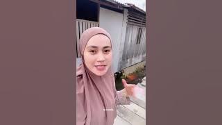 Fakta suku bajo nona sawili