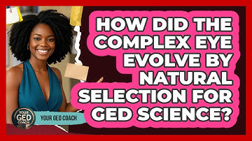 How Did The Complex Eye Evolve By Natural Selection For GED Science? - Your GED Coach