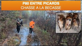 Chasse entre Picards: Soirée Bécasses - US MN Oct. 2023 - Hunting between Picards: Evening Woodcocks