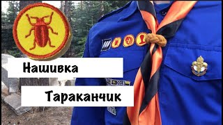 Испытание на нашивку тараканчика . Братство Православных  Следопытов . г Краснодар