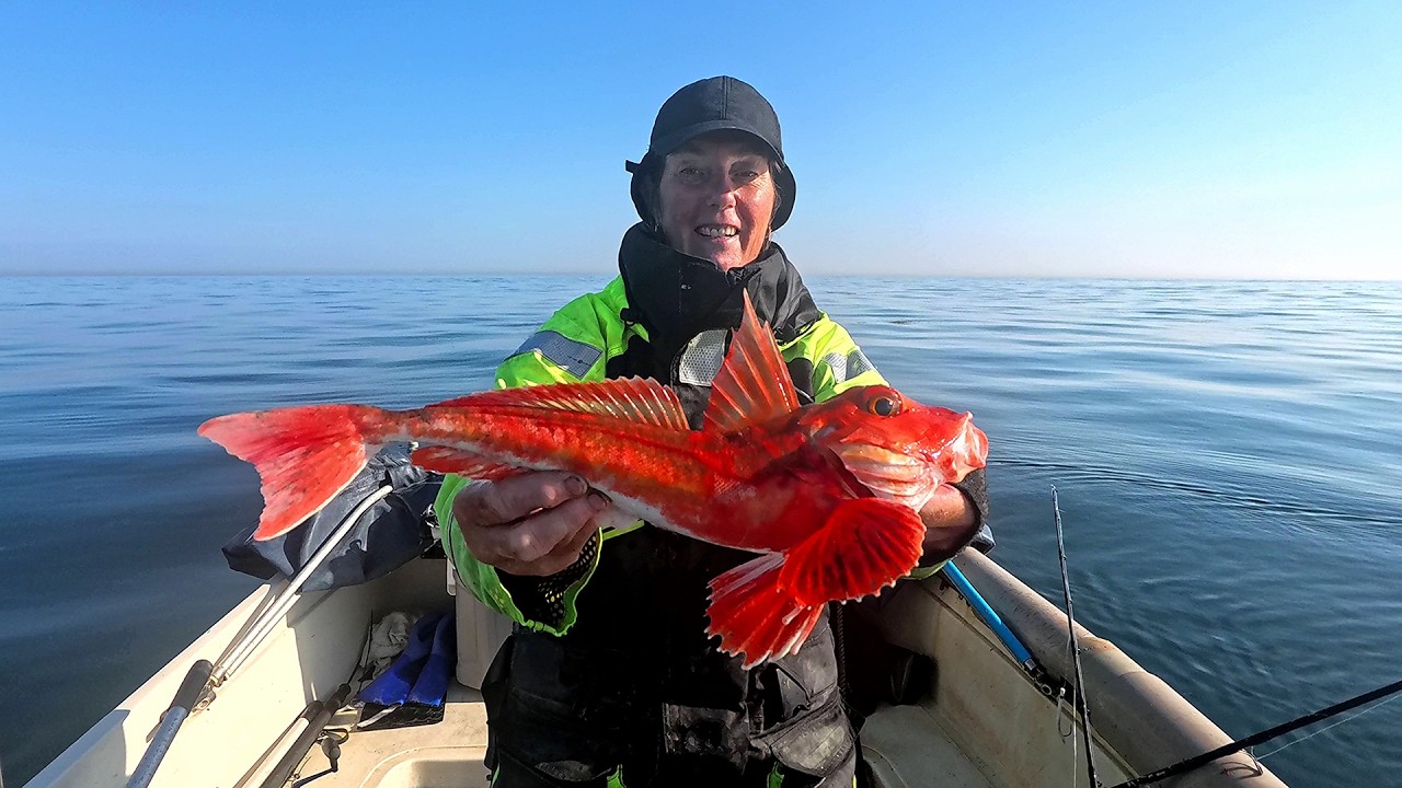 Sustainable Fishing Practices and Marine Ecosystem Understanding