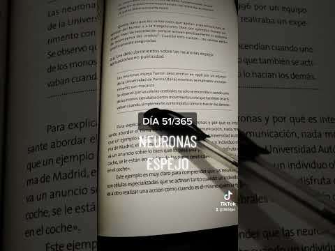 DÍA 51/365 (Pt.3):