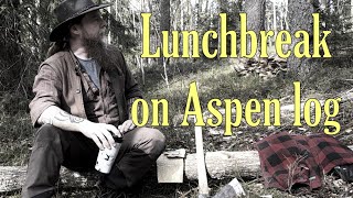 Lunchbreak on Aspen log. Reflecting on axe firewood cutting in the forest.