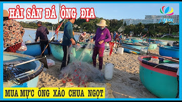 Ngon Lạ CHỢ HẢI SẢN ĐÁ ÔNG ĐỊA Cuối Tuần Phan Thiết Mũi Né