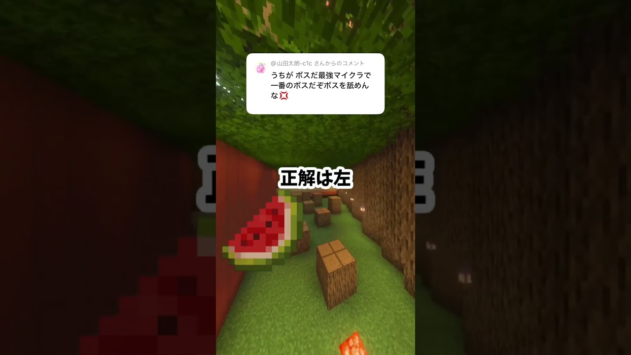 【 #マインクラフト 】右左どっち?ボスなら当たり前のように全問正解できるやんな?【#shorts 】