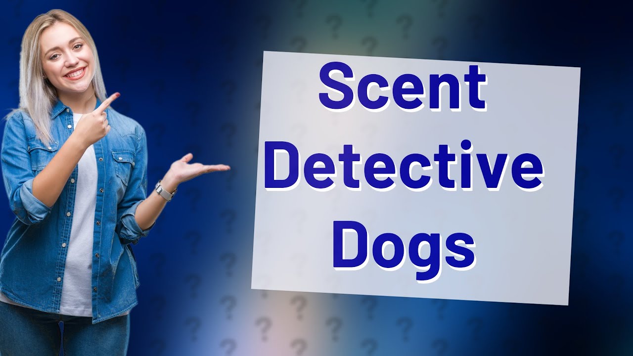 Can dogs smell amniotic fluid? YouTube