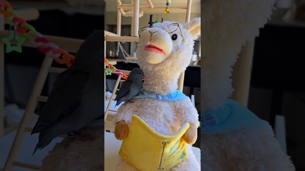 Я уже достаточно наслушалась😰 