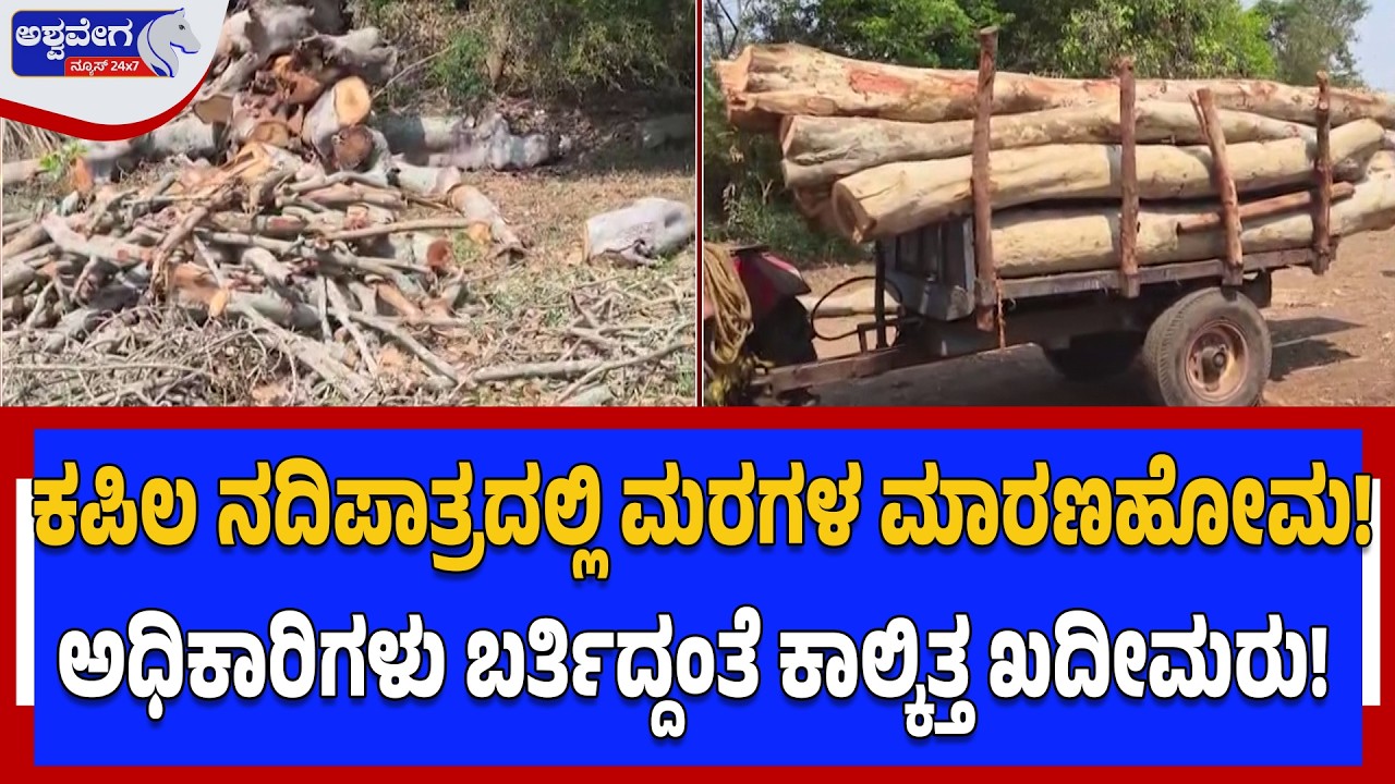 ಕಪಿಲ ನದಿಪಾತ್ರದಲ್ಲಿ ಮರಗಳ ಮಾರಣಹೋಮ! ಅಧಿಕಾರಿಗಳು ಬರ್ತಿದ್ದಂತೆ ಕಾಲ್ಕಿತ್ತ ಖದೀಮರು! | “TREE MASSACRE!”