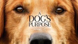 Soundtrack A Dogs Purpose Theme Song - Musique Film Mes Vies De Chien 2017