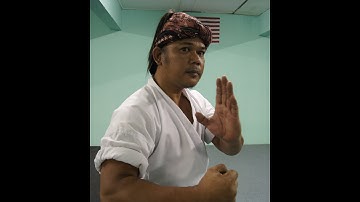 Silat Pukulan Sang Merpati Putih Sarawak ( Salam Guru )