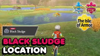 Black Sludge Location In Pokemon Sword Shield The Isle Of Armor DLC