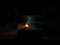 森の川辺、焚き火のそばで。 #asmr #眠る #sleep #relax