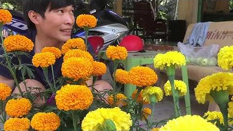 Rước ông bà 29 tết 2016