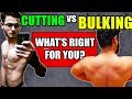 Should You CUT or BULK first? Bulking vs Cutting (Skinny Fat Solution)