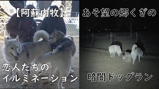 【阿蘇】恋人たちのイルミネーションと暗闇の中のドッグランに行って来ました！