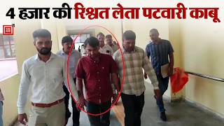 विजिलेंस के हत्थे चढ़ा रिश्वतखोर पटवारी, सिर्फ 4 हजार के लिए बेचा ईमान...गई नौकरी-पहुंचा जेल
