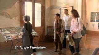 New Orleans Plantation Country Tour - St. Joseph Plantation