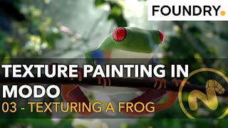 Famous 03 - Texturing a Tree Frog | Texture Painting in Modo Net Worth